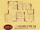 龙湖熙岸_3室2厅2卫 建面116平米