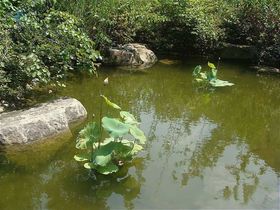 凯美艾溪湖