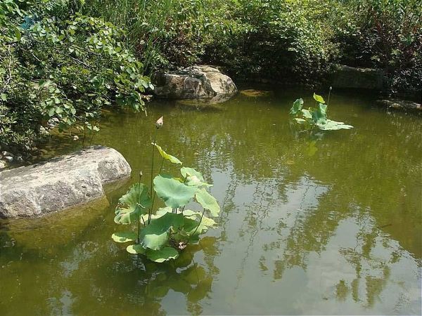 凯美艾溪湖