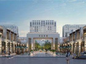 泽信青城