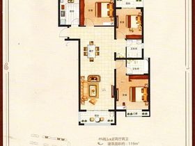 中房桂圆