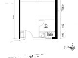 碧桂园城市之光_1室1厅1卫 建面29平米