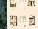 安国数字中药都_256平米北入中间户型21#22# 建面256平米