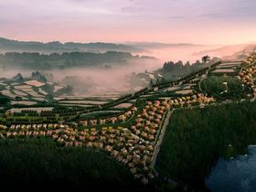 香格翠丽