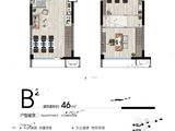 盛世滨江_B2 建面46平米