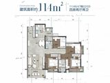 碧桂园狮子洋二期_4室2厅2卫 建面114平米