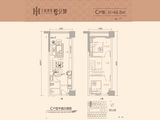 大新鸿基豪庭_2室2厅1卫 建面45平米
