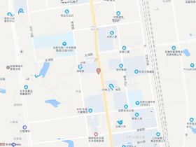 琥珀春树里